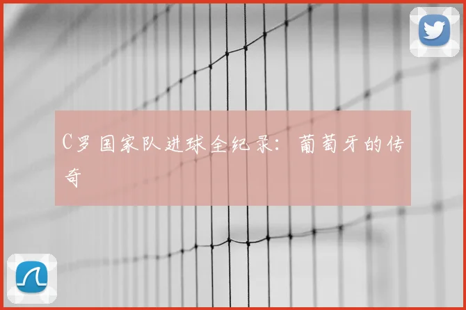 C罗国家队进球全纪录：葡萄牙的传奇