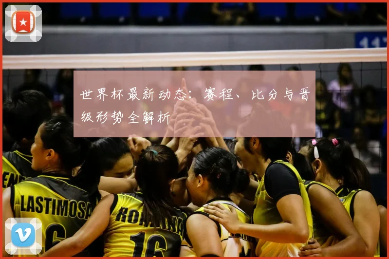 世界杯最新动态：赛程、比分与晋级形势全解析